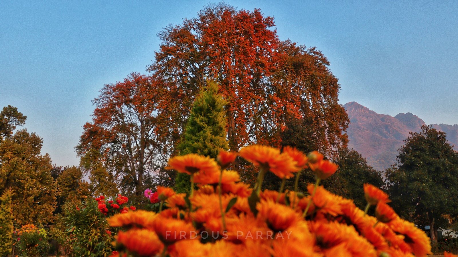 The Best Time to Visit Kashmir: A Month-by-Month Guide