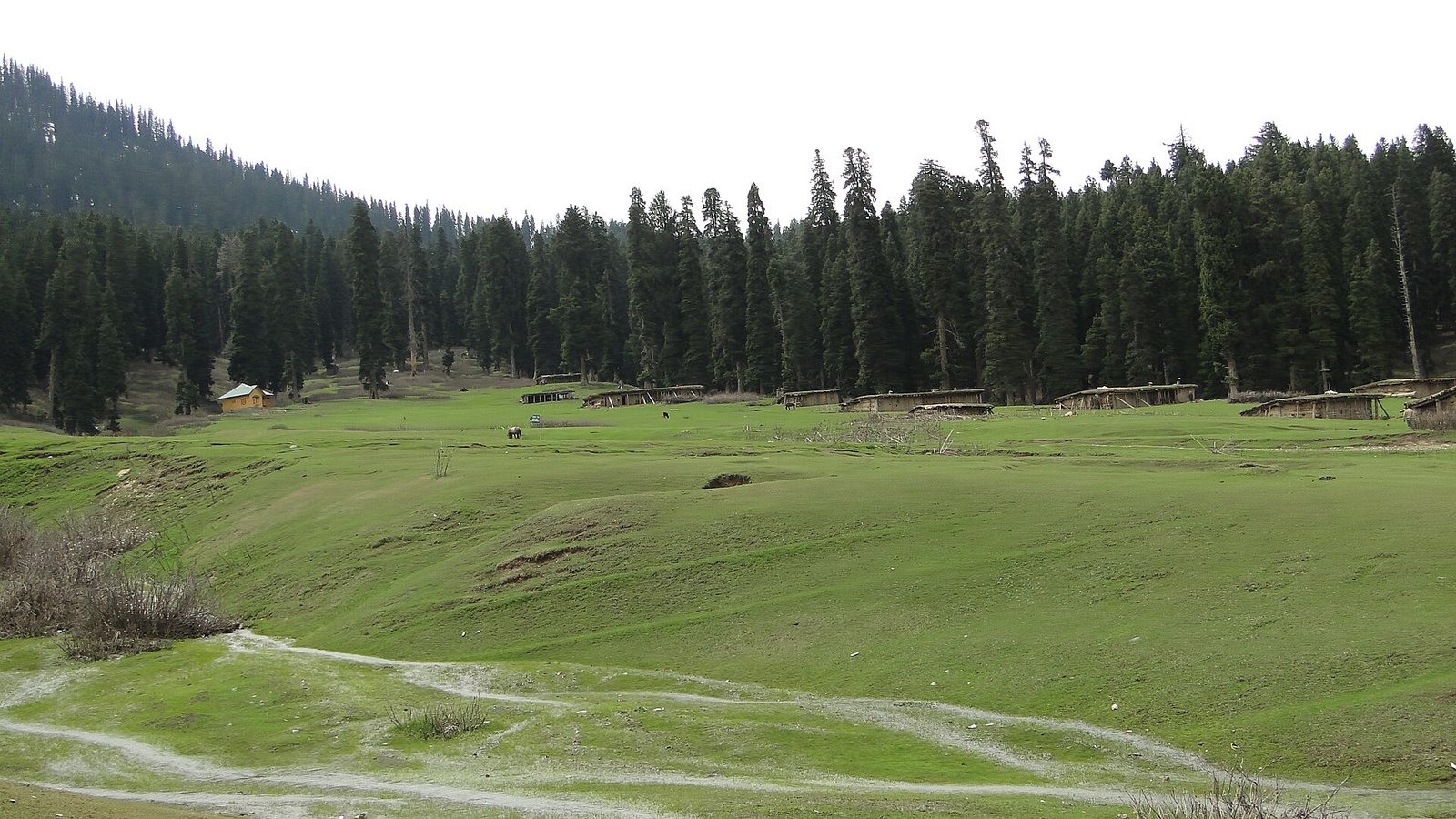 Doodhpathri, Kashmir