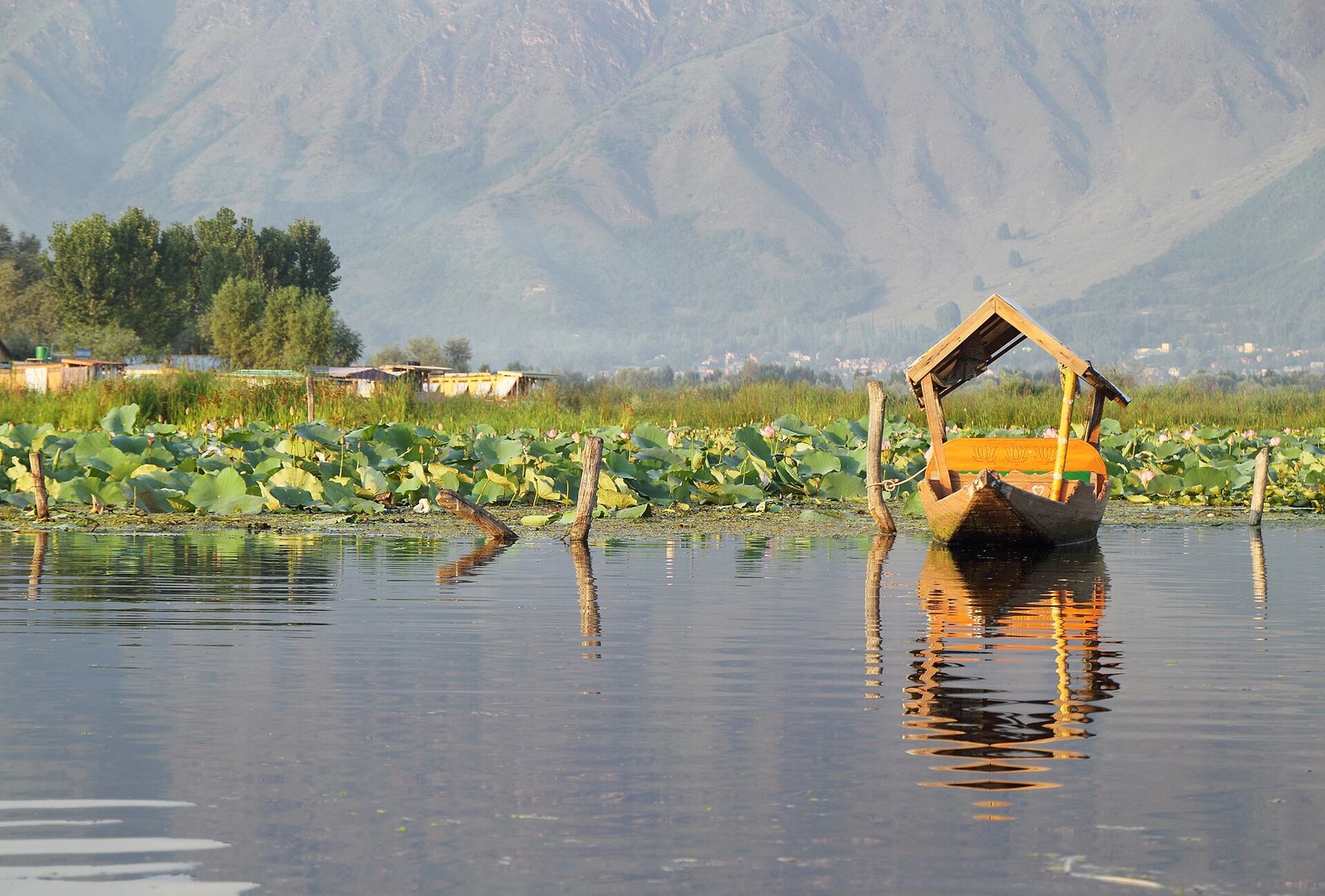 Srinagar, Kashmir