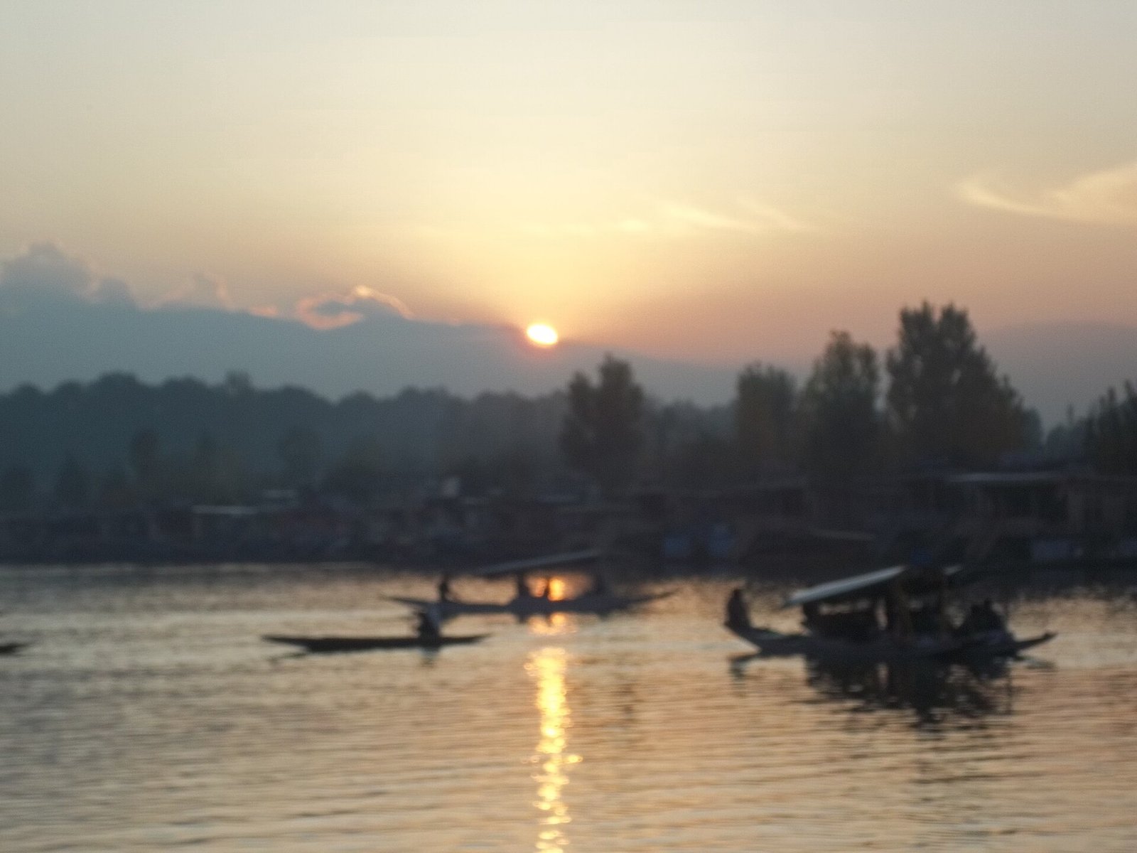 Shikaras on Dal Lake