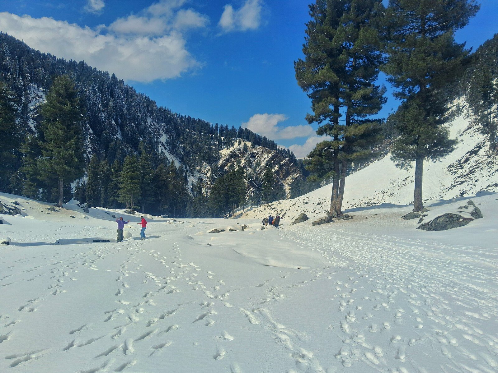 Fresh snow at Gulmarg